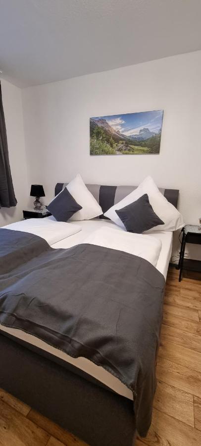 Waterfalls Apartment 2 Triberg im Schwarzwald Екстериор снимка